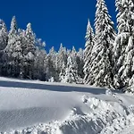 Jelen Lägenhet