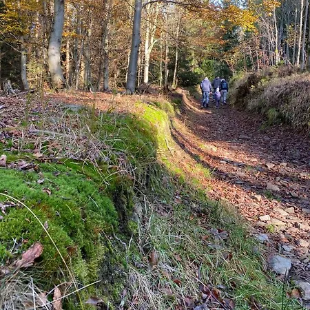 Jelen * Destne v Orlickych horach