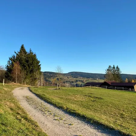 Jelen * Destne v Orlickych horach