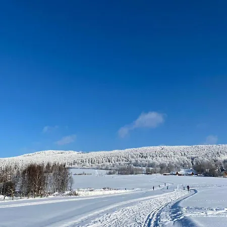Jelen Deštné v Orlických horách