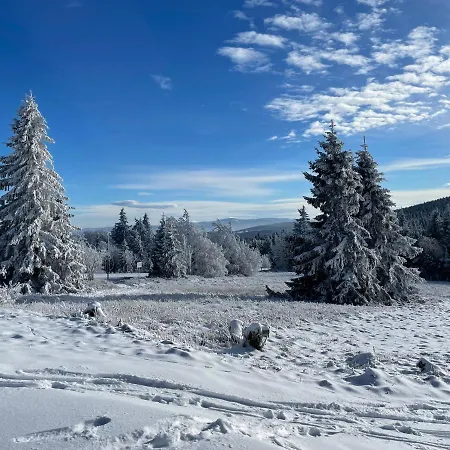 Jelen Destne v Orlickych horach