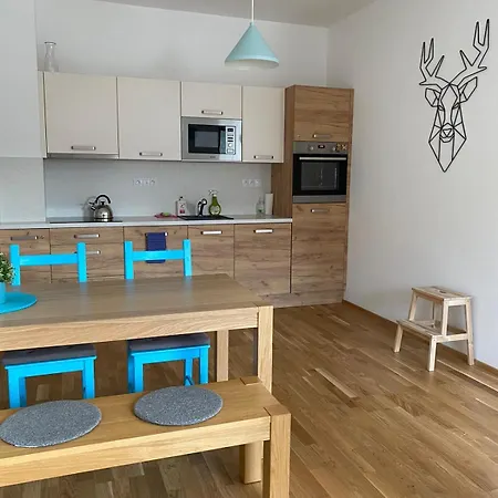 Apartament Jelen Desztne w Górach Orlickich