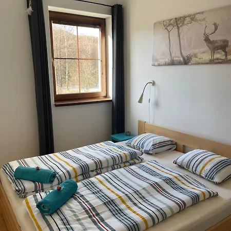 Jelen Apartament Desztne w Górach Orlickich