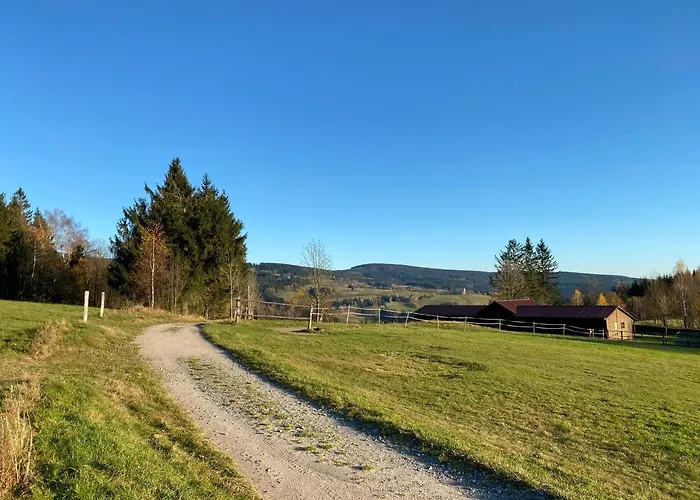 Jelen * Deštné v Orlických horách