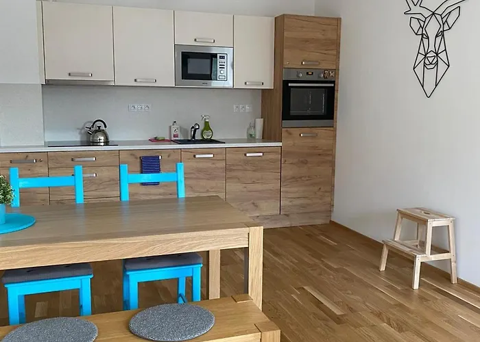 Apartman Jelen Deštné v Orlických horách